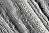 Lineated Valley Fill in Coloe Fossae
