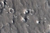Field of Elongated Cones in Utopia Planitia