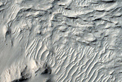 Branching Deposits in Southeast Aeolis Dorsa