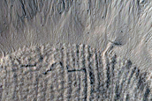 Gully Monitoring