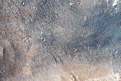 Tempe Terra