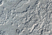 Elysium Planitia