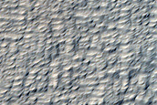 Portion of Lobate Feature Off North Side of Pavonis Mons