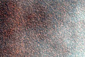 Chasma Boreale Duneforms