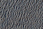 Meridiani Planum