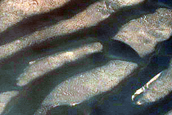 Ice-Dune Sand Mobility in Olympia Undae