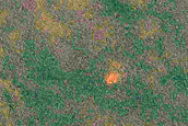 Landforms North of Scandia Colles