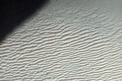 Fresh Crater in Tyrrhena Terra