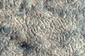 Utopia Planitia