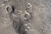 Field of Circular Pitted Features near Lobate Contact