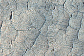 Utopia Planitia Sample