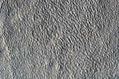 Arcadia Planitia Sample