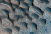 Dune Field Monitoring