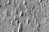 Pitted Cones and Related Terrain in Amazonis Planitia