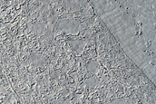 Lava in Western Elysium Planitia