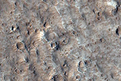 Terrain Sample near Olympus Mons Caldera