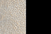 Northern Plains Sample