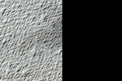 Candidate Recent Impact Site