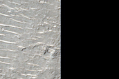 Wrinkle Texture on Crater Floor in Hesperia Region