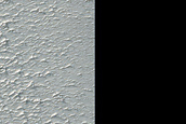 Candidate Recent Impact Site