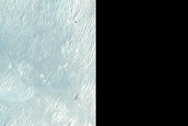 Active Dune Monitoring in East Meridiani Planum