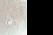 West Syrtis Major Wind Streak and Albedo Monitoring Site