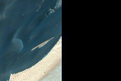 Seasonal Changes of Chasma Boreale Megadunes
