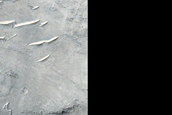 Terrain West of Firsoff Crater