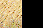 Chasma Boreale Linear Duneforms