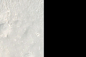 Elysium Planitia