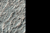 Diverse Bedrock on Terra Sabaea Crater Floor