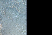 Crater-Delineating Mounds in Chryse Planitia