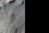 Branching Deposits in Southeast Aeolis Dorsa