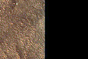 West Chasma Boreale Linear Dunes