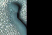 Dune Monitoring in Northern Mid-Latitude Crater
