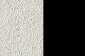 Rootless Cones in Amazonis Planitia
