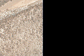 Mounds on North Polar Residual Ice Atop Dunes