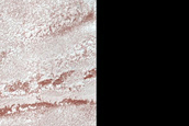 Olympia Undae Dune-Ice Monitoring