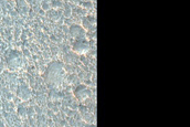 Crater-Delineating Mounds in Chryse Planitia