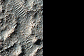 Diverse Crater Floor Bedrock in Western Terra Cimmeria