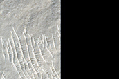 Sinuous Ridges in Aeolis Dorsa
