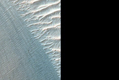 Diverse Compositions North of Oudemans Crater