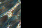 Mid-Erg Dunes in Abalos Undae