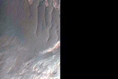 Crater Depression North of Hellas Planitia