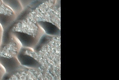 Dunes in Shapes of Ts and Vs