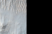 Well-Preserved 20-Kilometer Impact Crater