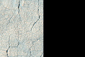 Utopia Planitia Scalloped Terrain