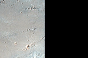 Secondaries from Fresh Small Impact Crater