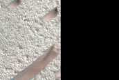Terrain Sample