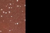 Terrain Sample